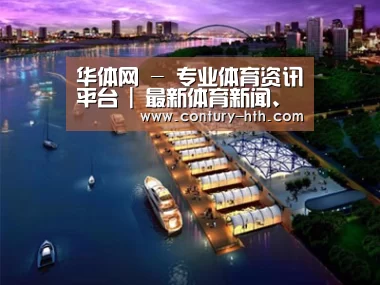 案例展示八